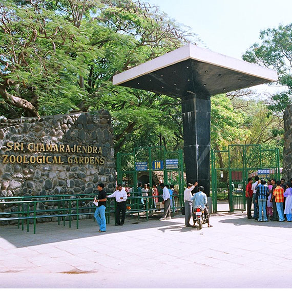 Mysore Zoo 1