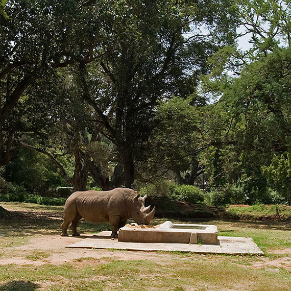 Mysore Zoo 3