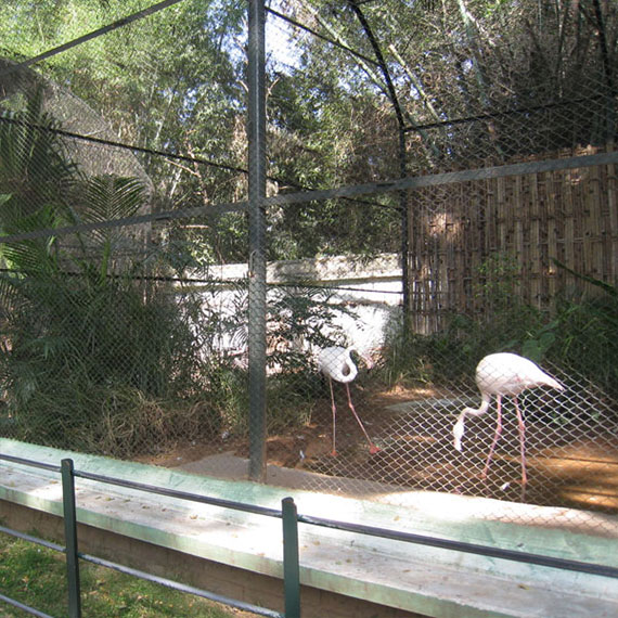 Mysore Zoo 4