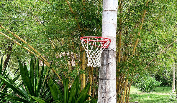 Casual Basketball 1