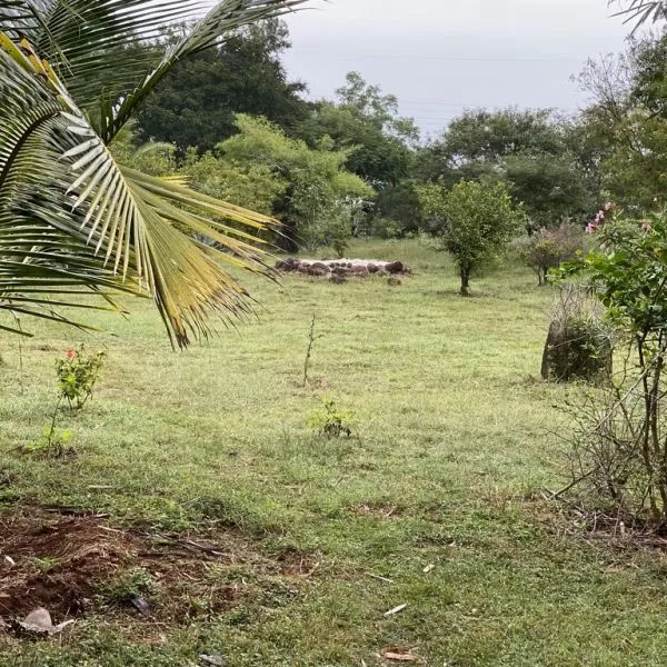 Our Homestay Surroundings 1