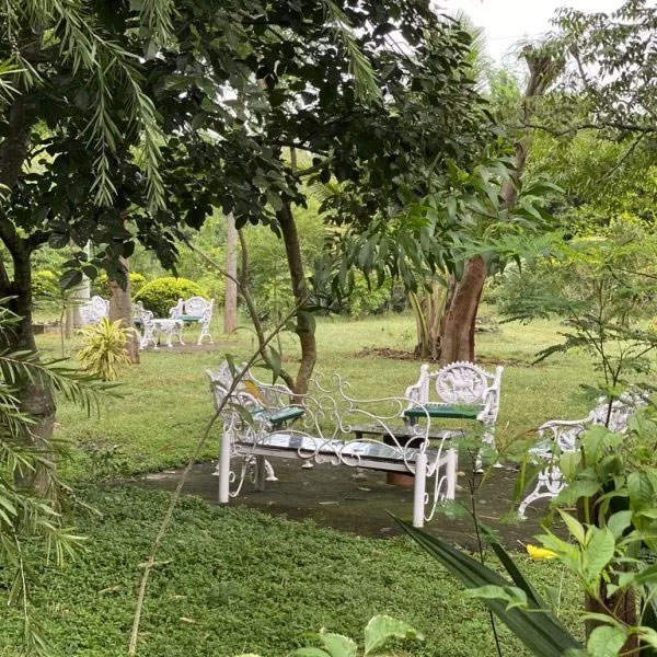Our Homestay Surroundings 2