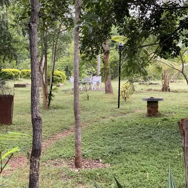 Our Homestay Surroundings 3