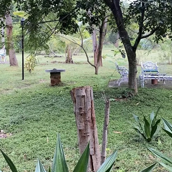 Our Homestay Surroundings 4
