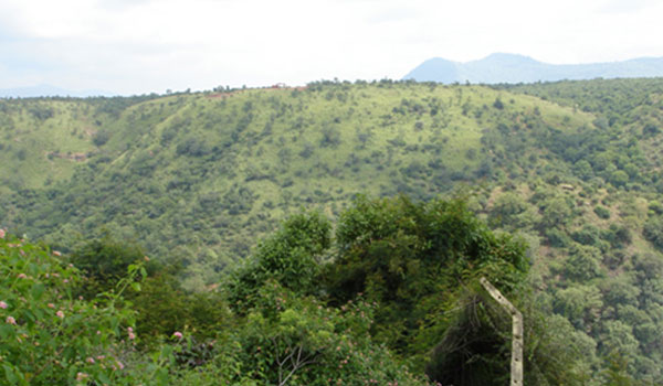 Guided Trek 1