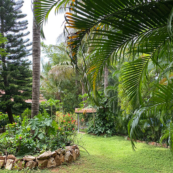 Our Homestay Surroundings 5