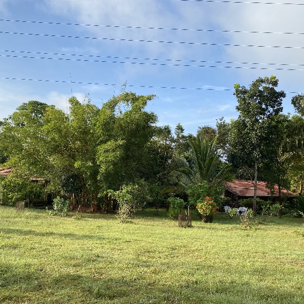 Our Homestay Surroundings 11