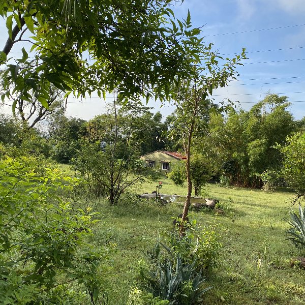 Our Homestay Surroundings 12