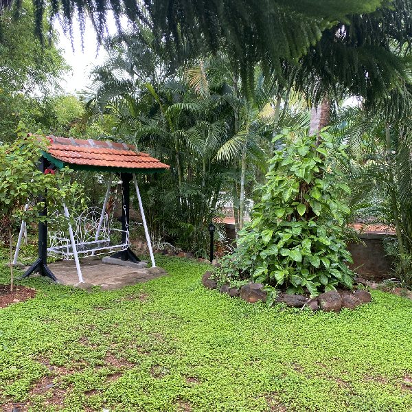 Our Homestay Surroundings 7