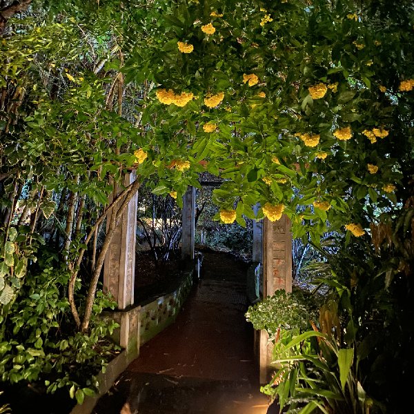 Our Homestay Surroundings 8