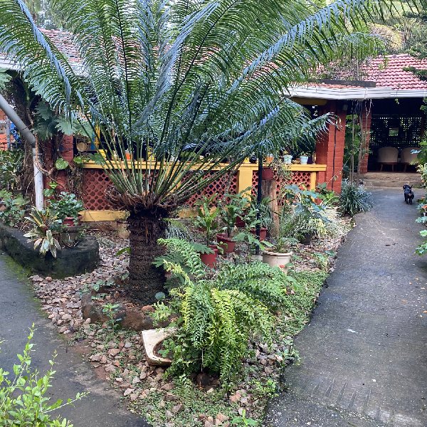 Our Homestay Surroundings 9