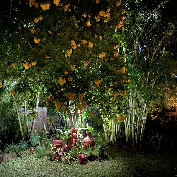 Our Homestay Surroundings 10