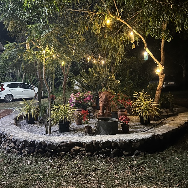 Our Homestay Surroundings 15